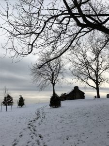 img_0105-2